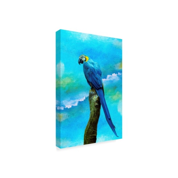 Ata Alishahi 'Blue Parrot' Canvas Art,22x32
